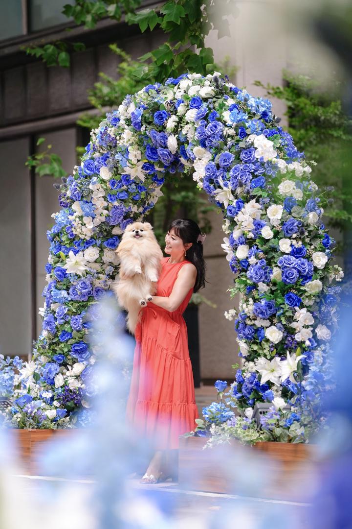 ブルーの薔薇のアーチ