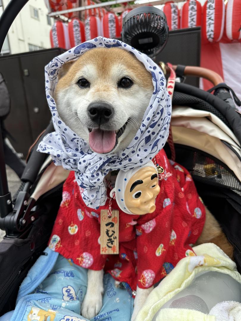 八木節まつり