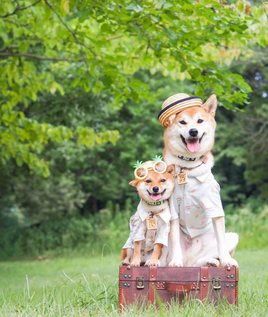 旅に出かけよう！