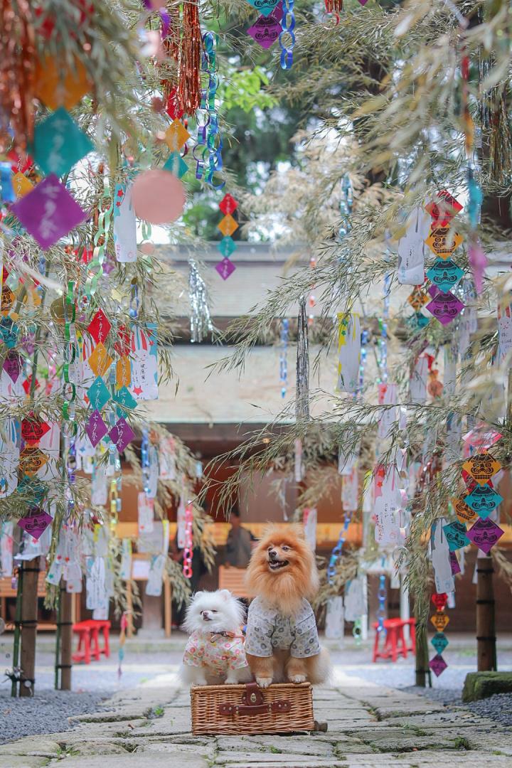 七夕祭り