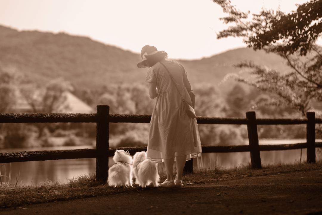 かけがえのないあの日