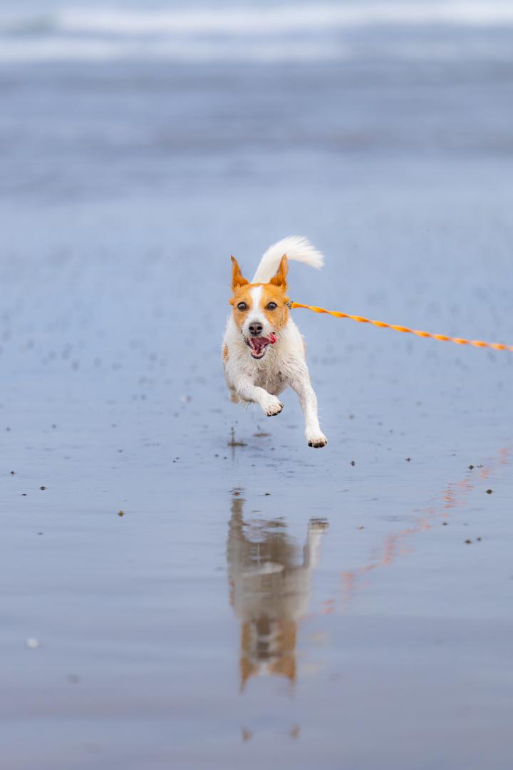 海さいこー！！
