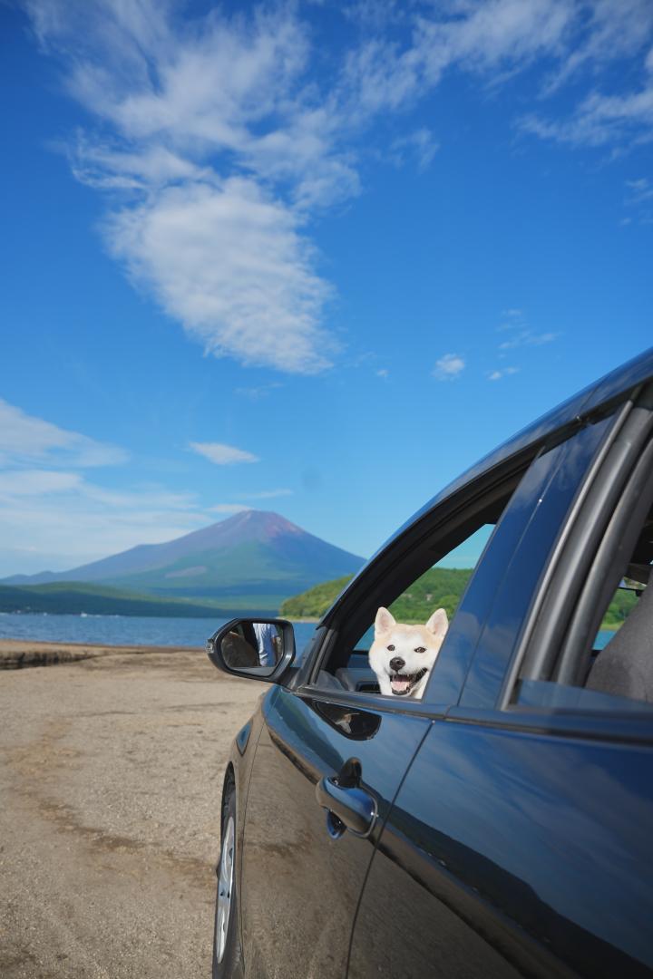 夏のドライブ