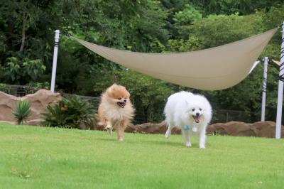 暑い夏もRUN RUN!