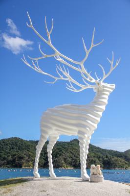 Whitedeerとこはひよ