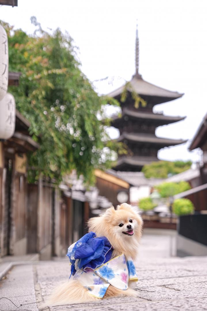 はんなり
