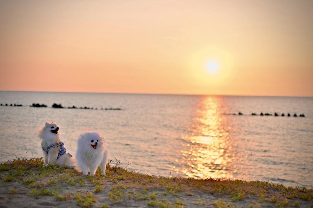夕陽に染まる、ふたりの時間