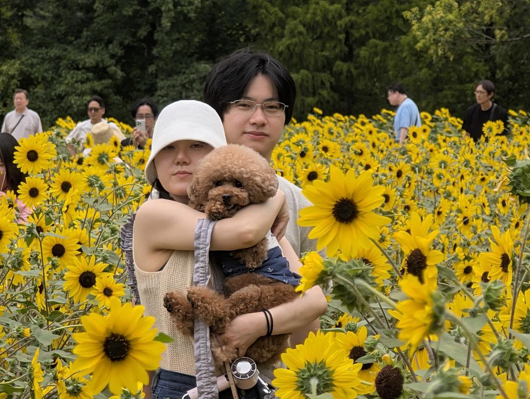 ひまわり畑の子供達
