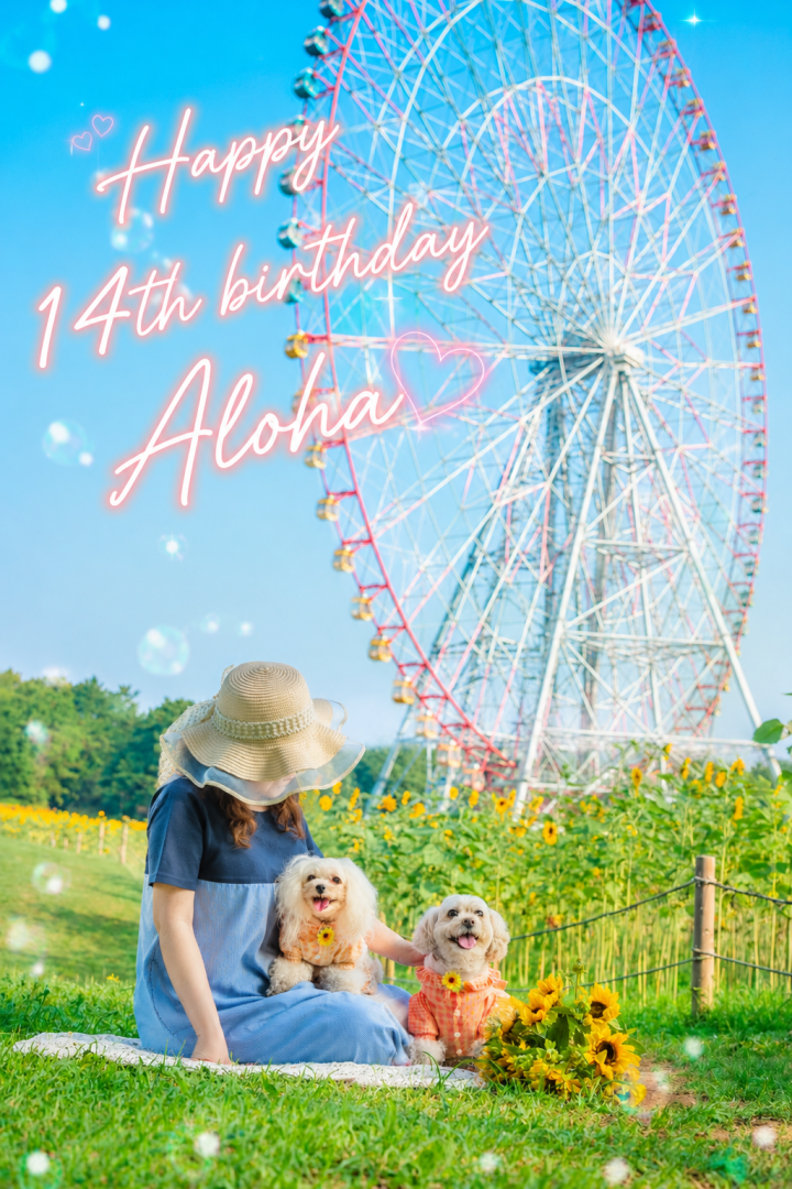 アロハのBirthdayフォト
