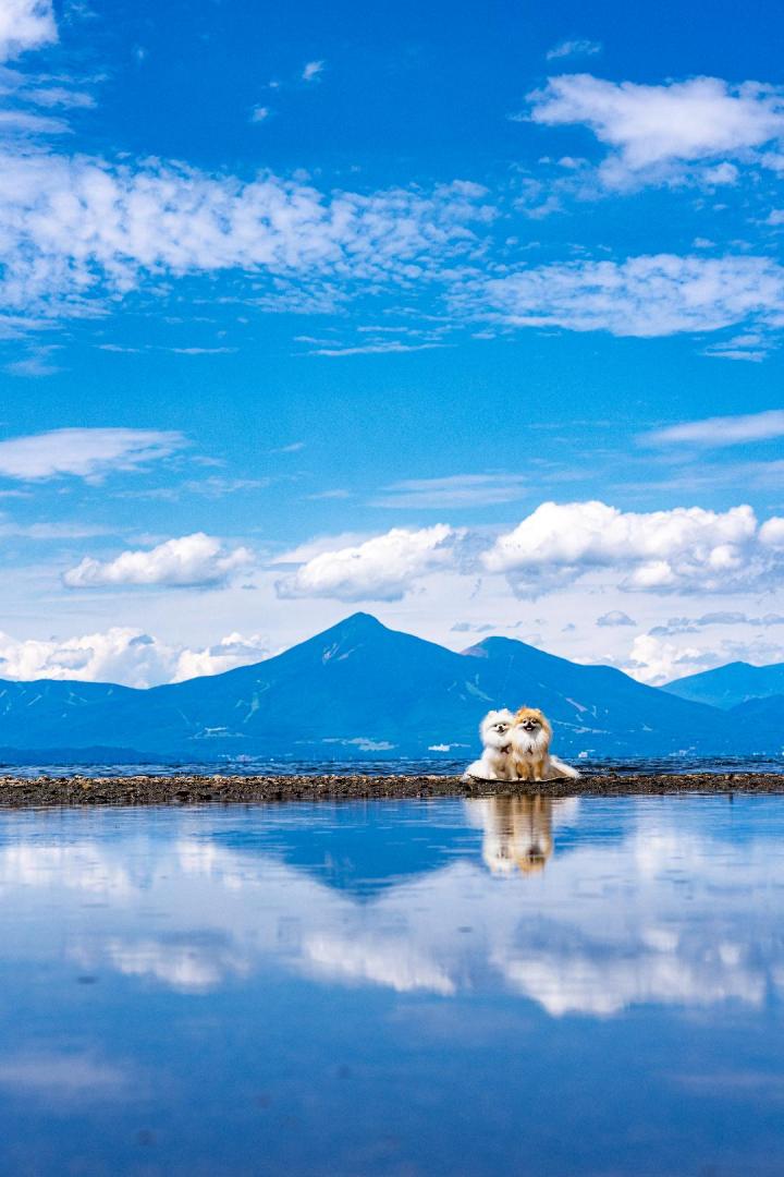 湖畔に広がる青の世界とイチとコッペ