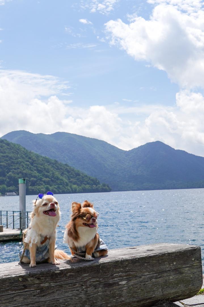 夏休み