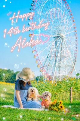 アロハのBirthdayフォト