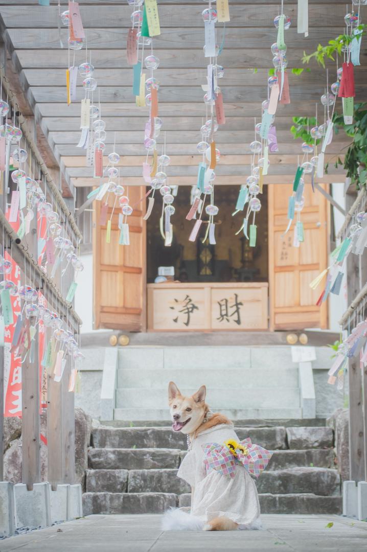 見返り美人