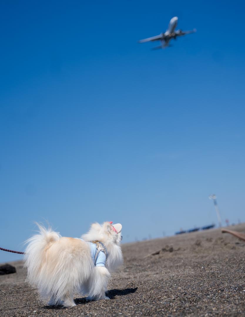 大空へ羽ばたこう！！！