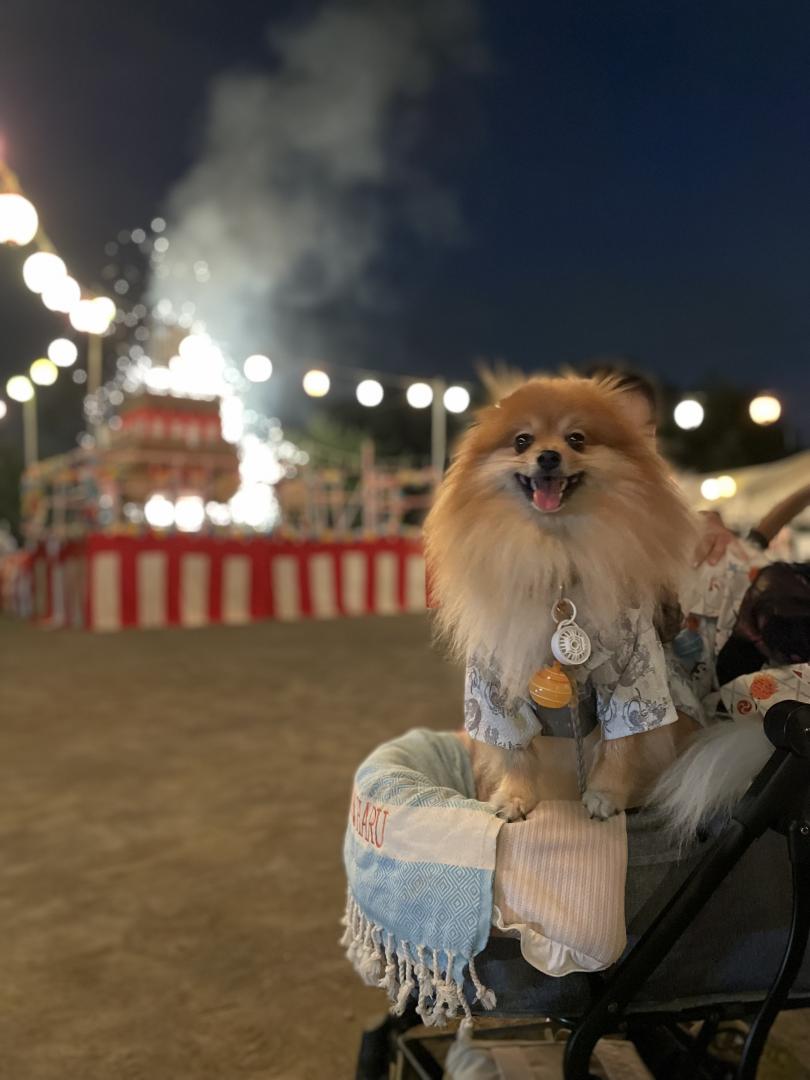 夏の思い出
