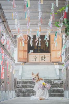 見返り美人