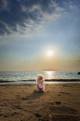 Peach on the Beach
