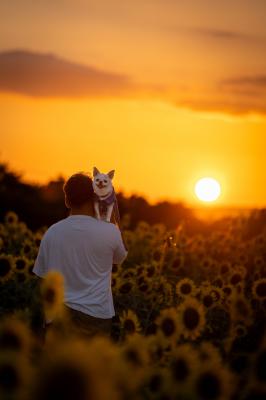 夕日といっしょに