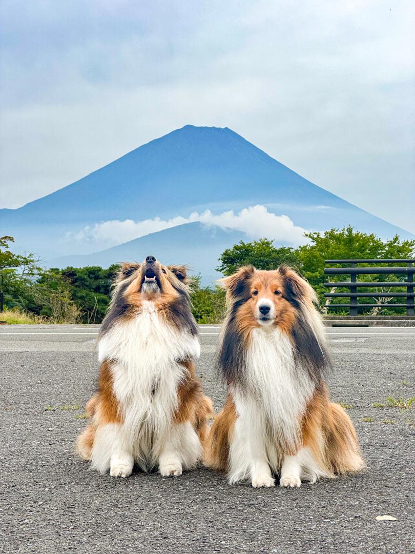 夏富士のふもと、空を見上げて