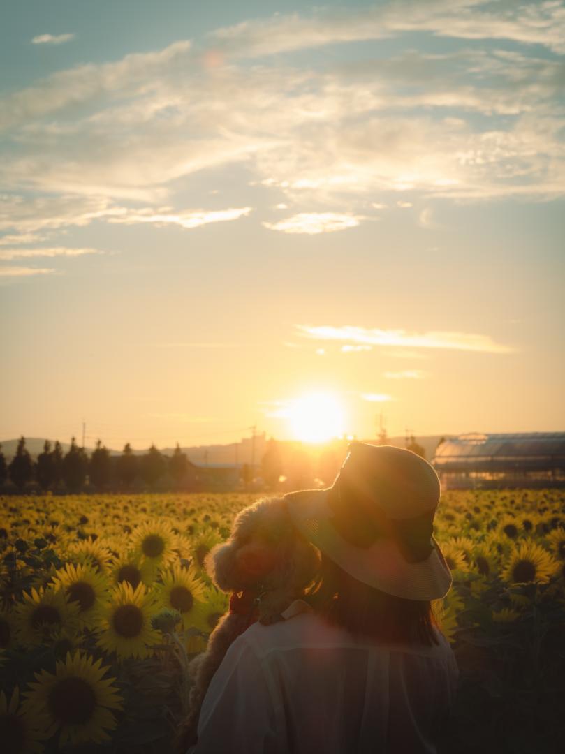 夕陽がくれた君との時間