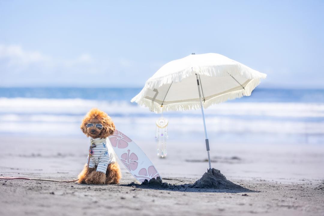 海満喫