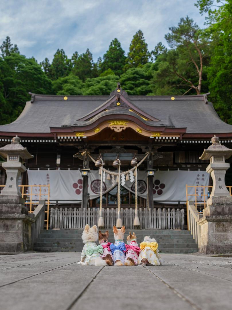 夏詣