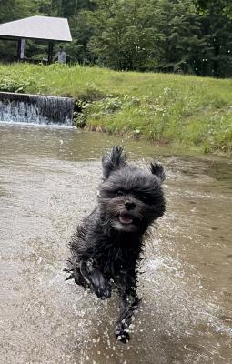 水の中にを猛ダッシュ！
