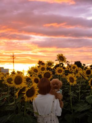 ららと見た2026夏の思い出