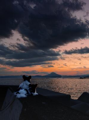 あれは富士山だよ