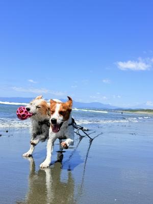 初夏の海遊び