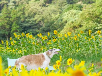 風を感じて