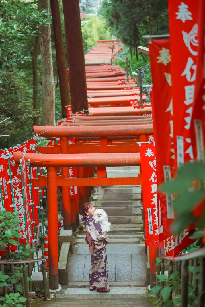夏詣⛩️