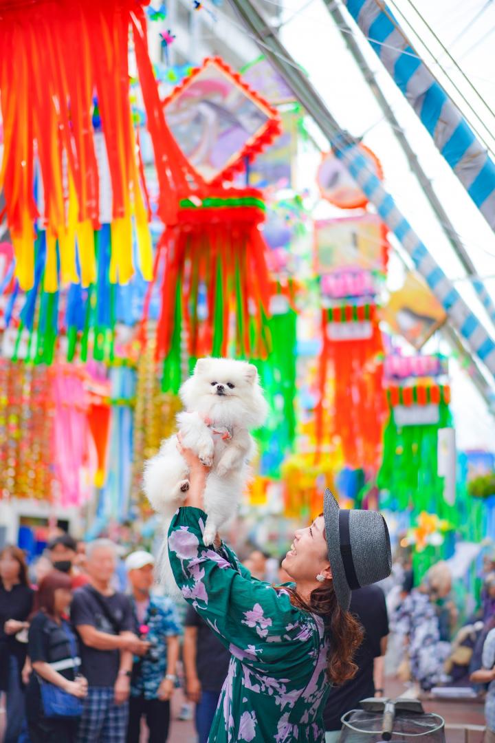 平塚七夕祭り