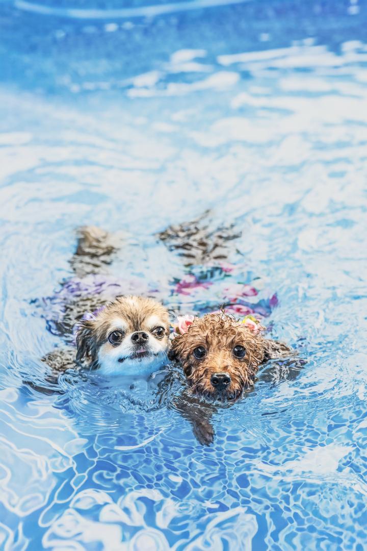 楽しい夏休み