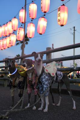 大好きな夏祭り