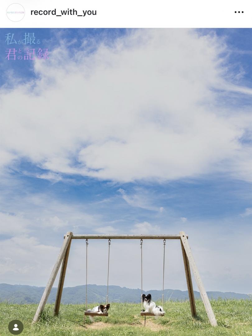 天空のブランコ