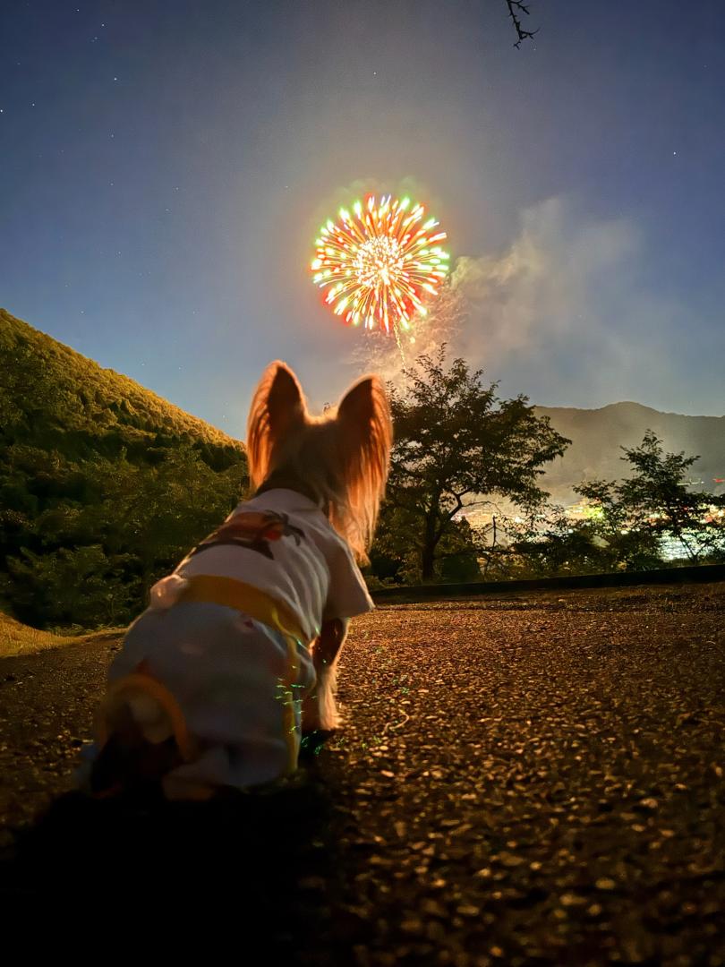 夏の思い出
