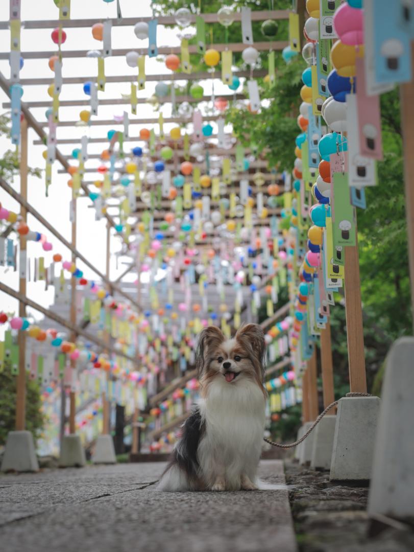 風鈴と