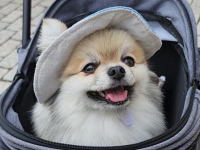 おはなし楽しいね