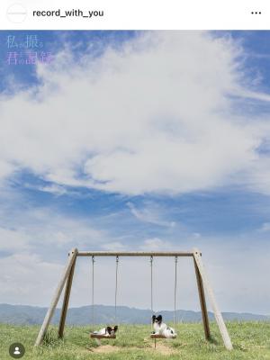 天空のブランコ