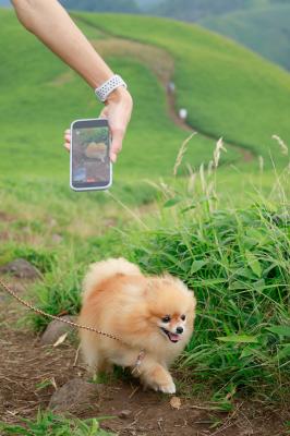 お山登り