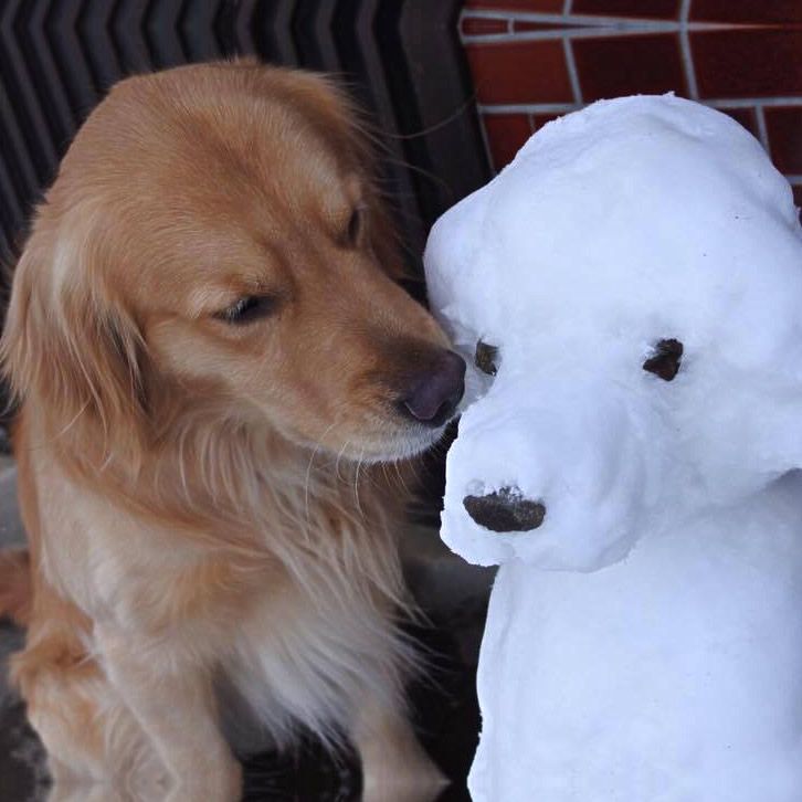 お気に入りの雪の子