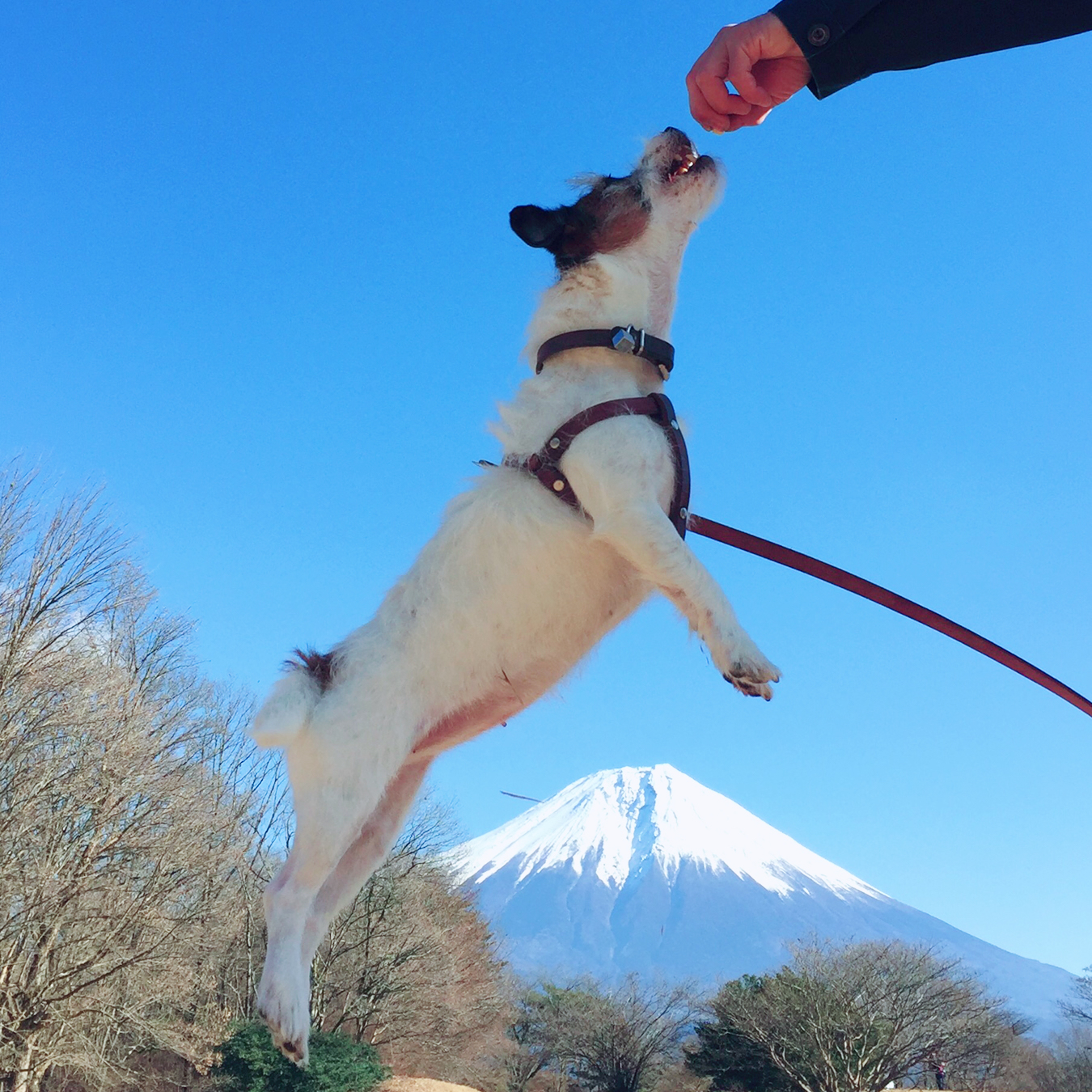 富士山超え