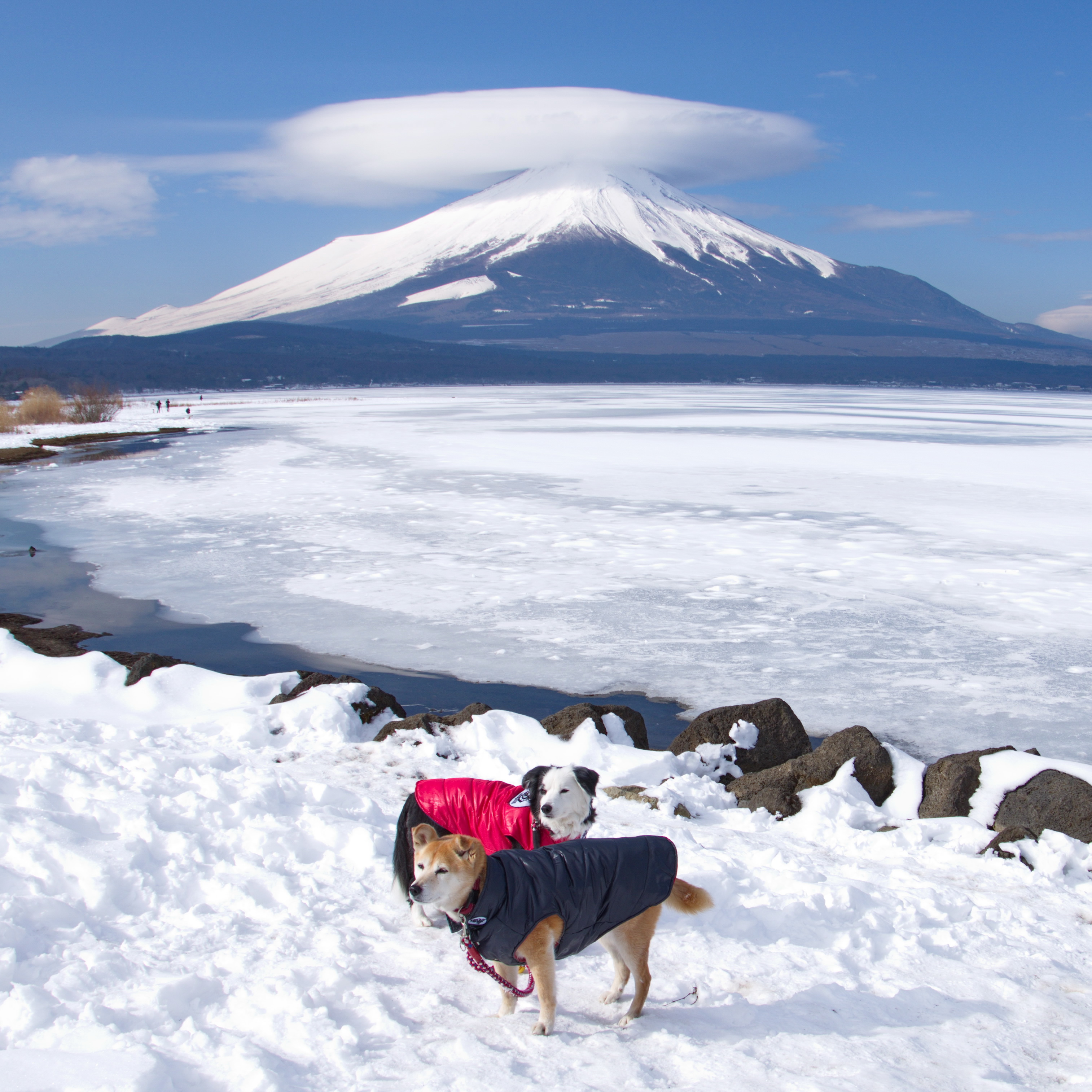 凍てつく湖面