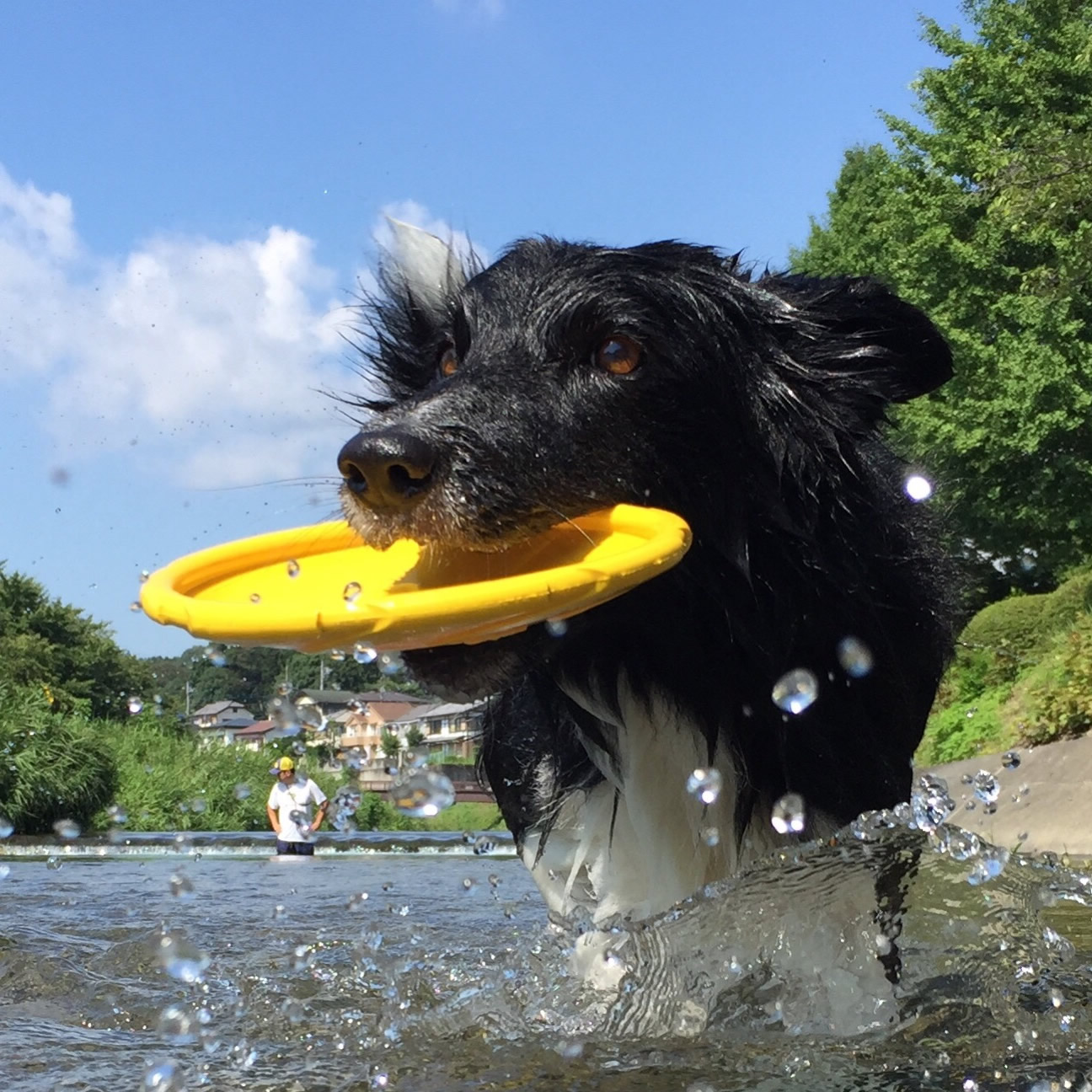 夏はコレだね！！