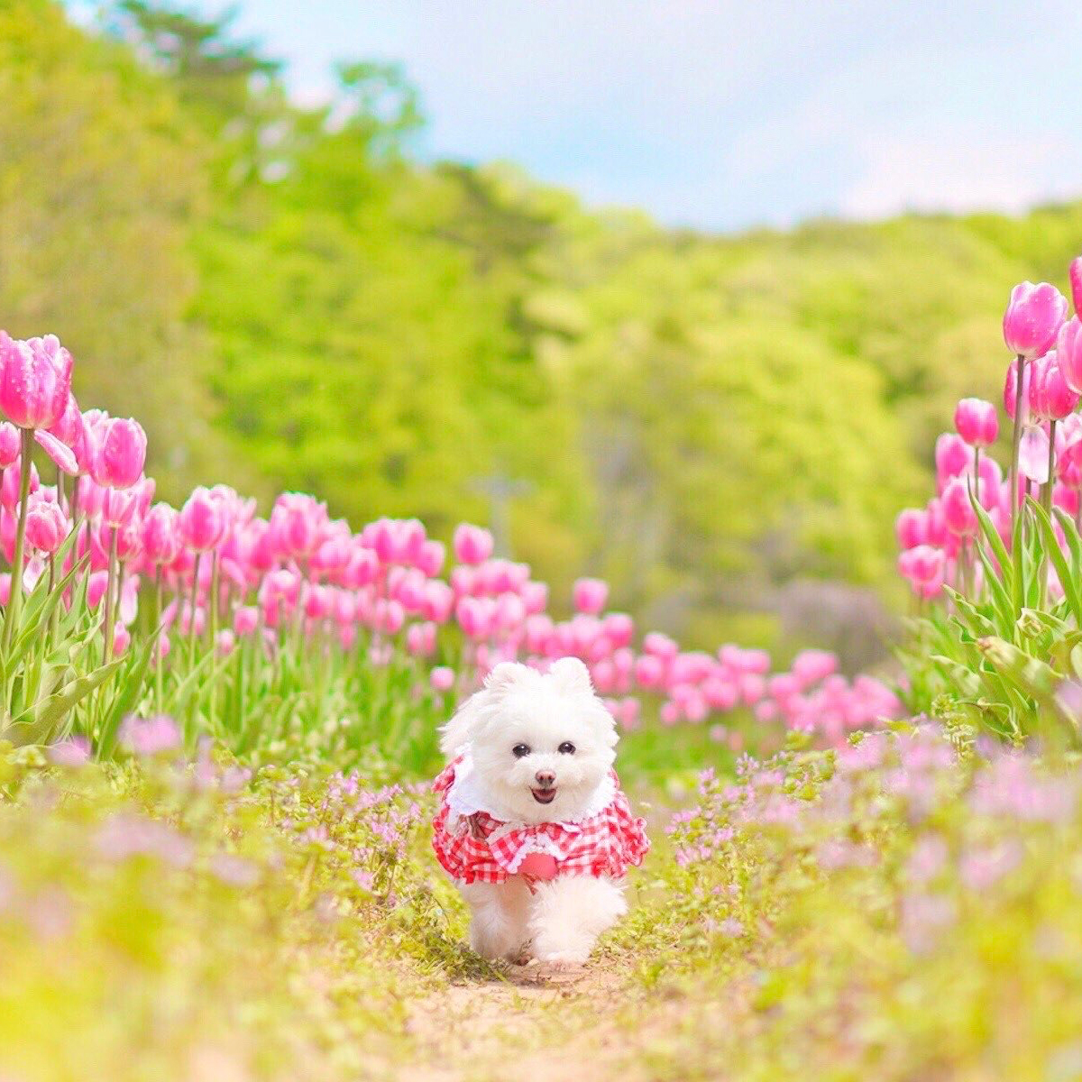 鼻歌が聞こえてきそう♪♪