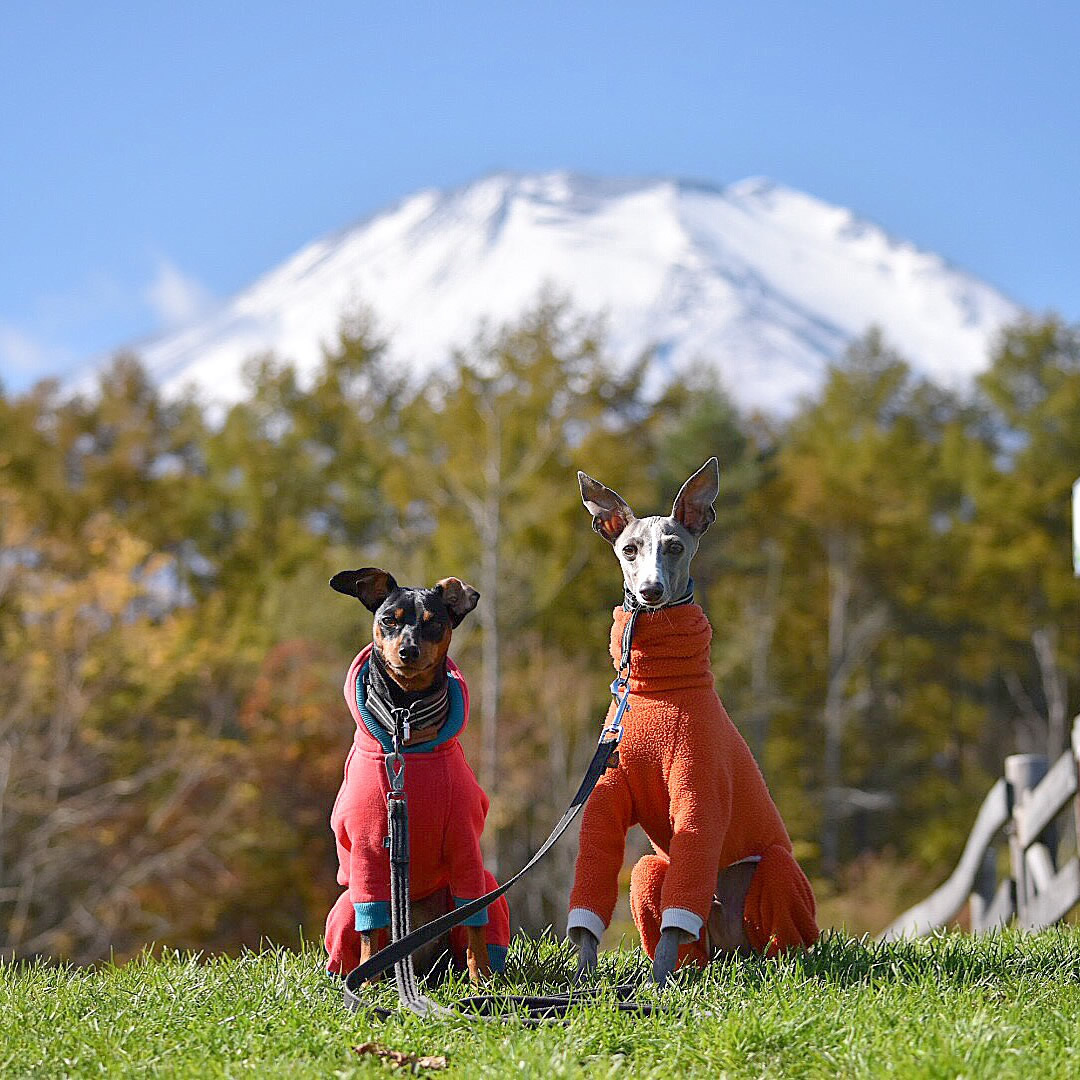 富士山！