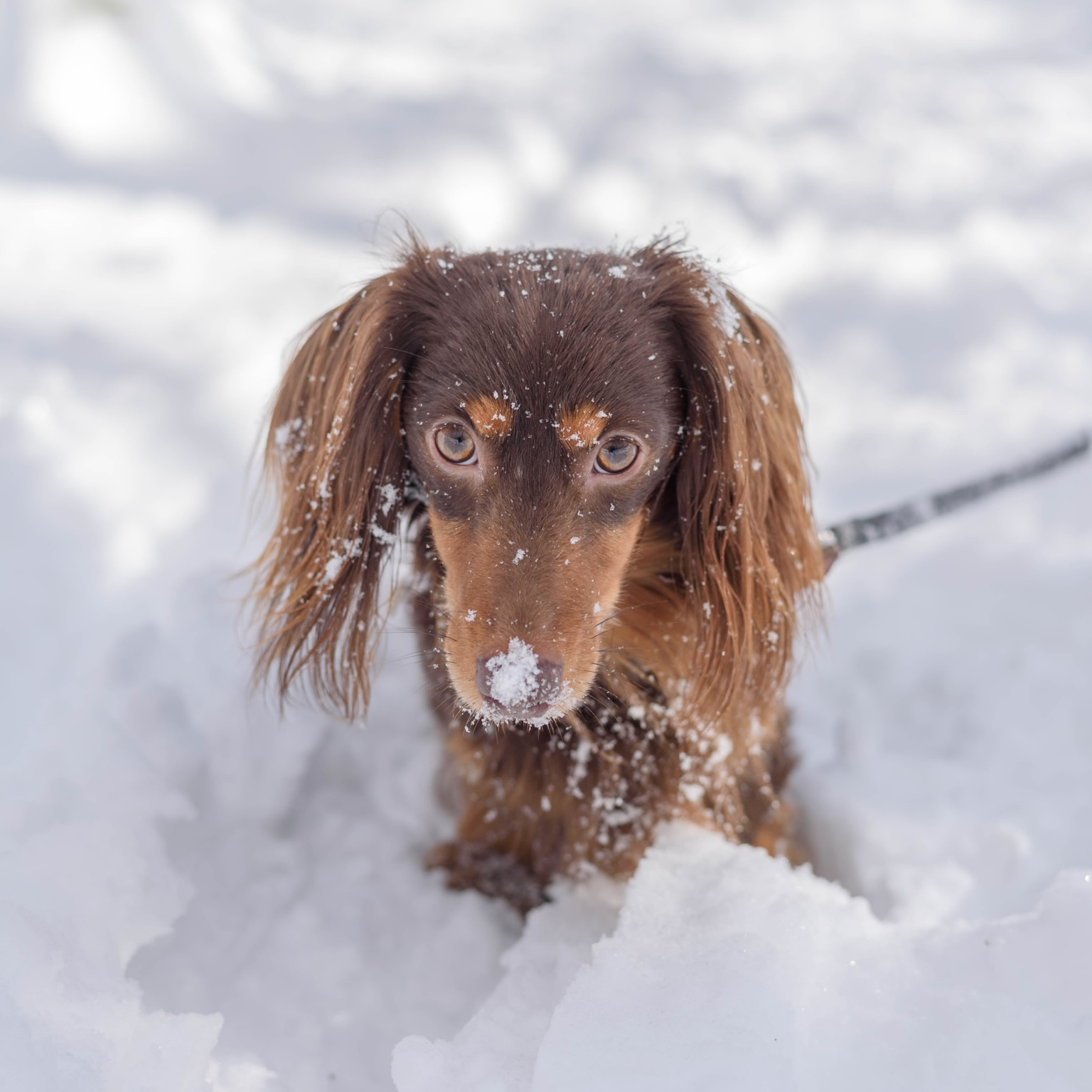 雪遊び