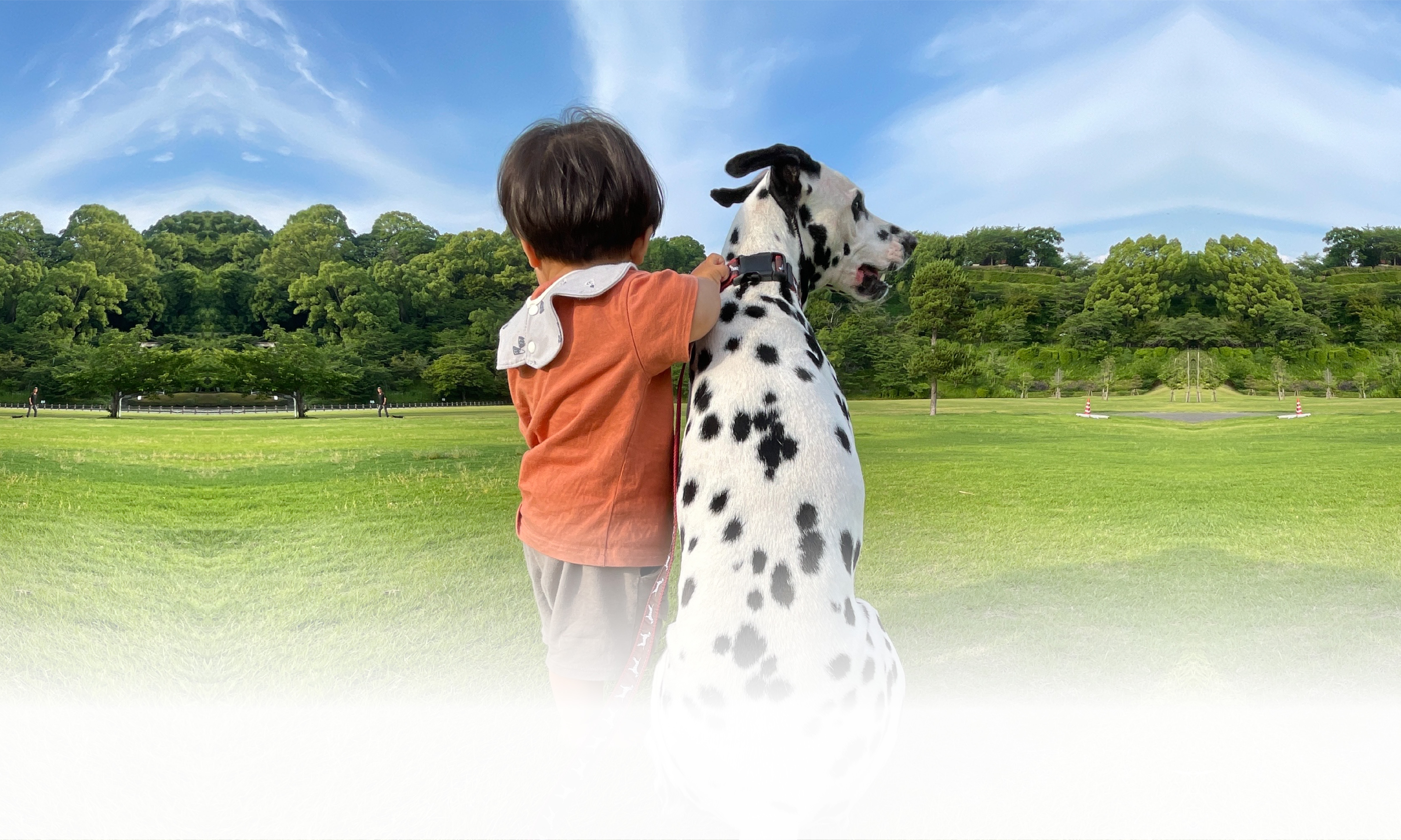 春の愛犬との旅行 画像 3