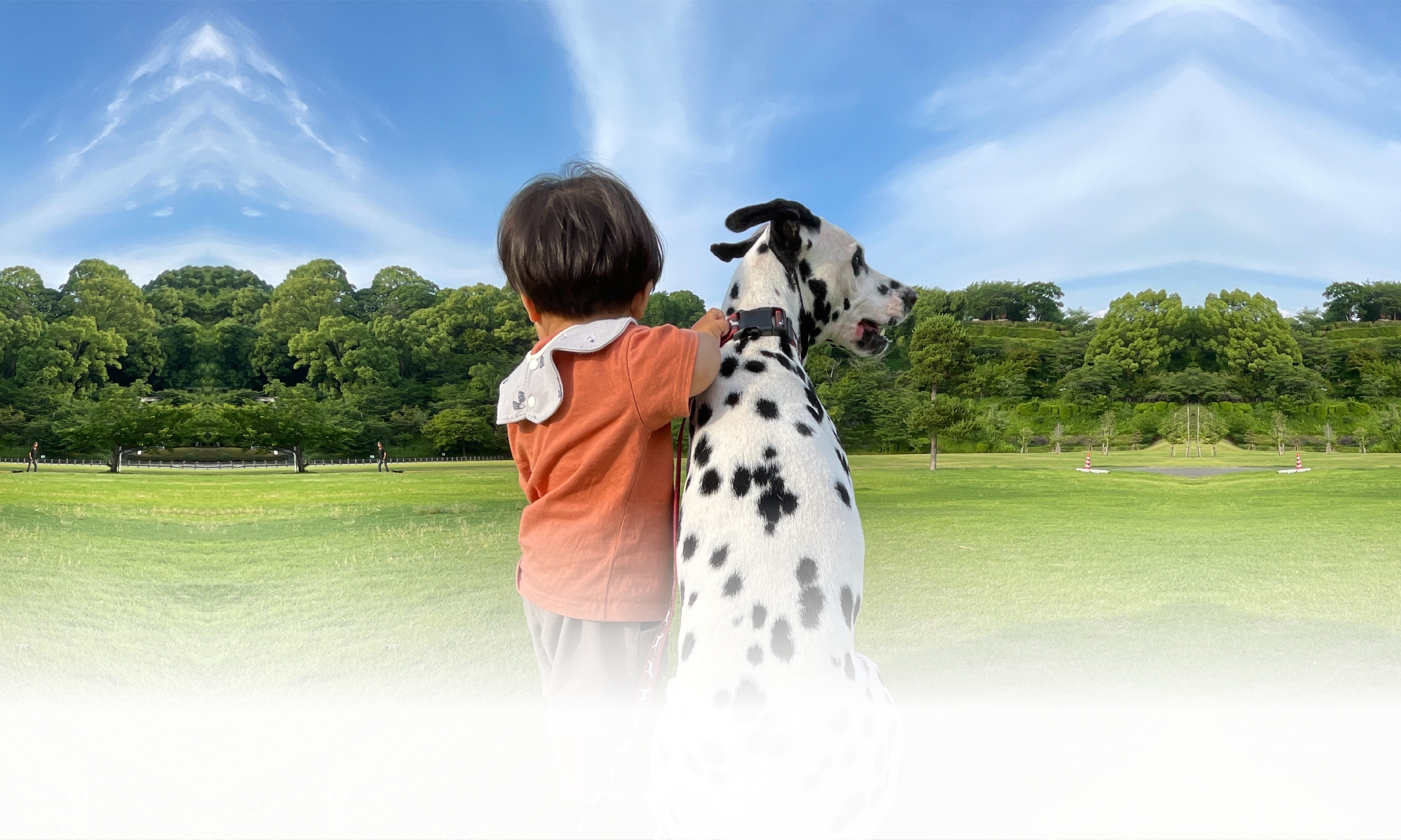 春の愛犬との旅行 画像 3